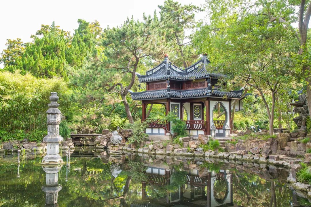 1700720273863531PbR6.jpg 9.jpg